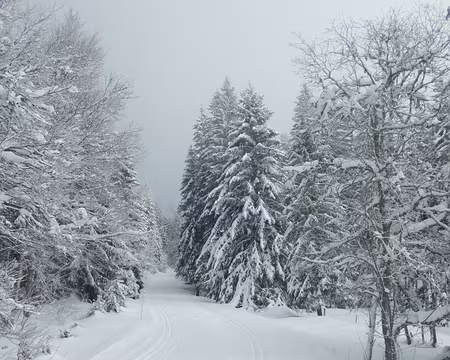 020_P1271299 Du soleil !? Pour le moment on est loin des 50cm de neige annoncés !