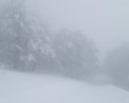 036_P2021477 Le paysage s’estompe !