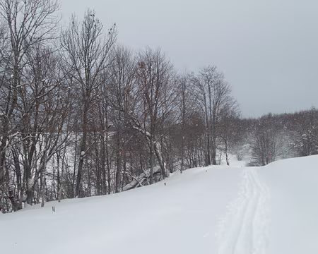 043_P2031513 Pas plus que la liaison suivante