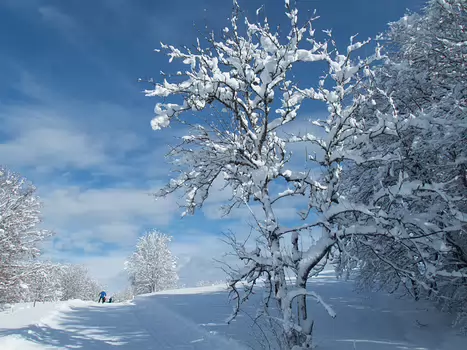 Philippe Philippe C, détail sortie