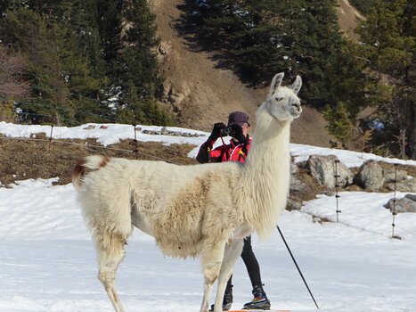 Jean-Louis Jean-Louis M, détail sortie