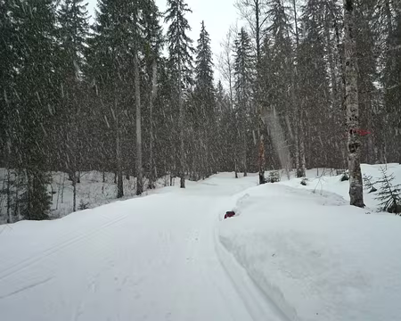 BP_4 Mais il neige !