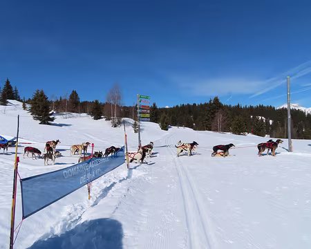 IMG_5764 Il n'y a pas de passage à niveau...