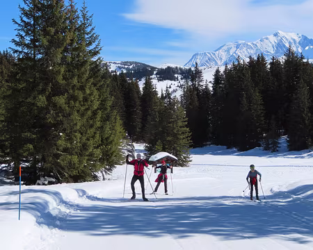 IMG_5767 Premières côtes...