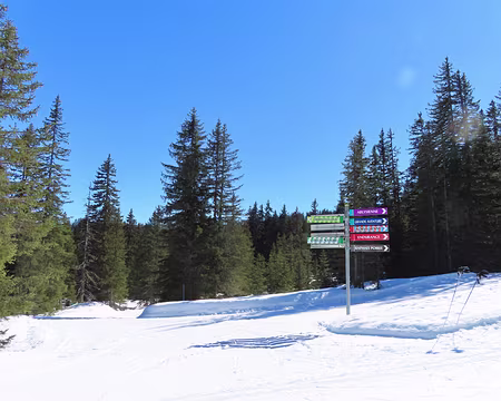 IMG_5786 Les panneaux sont multicolores