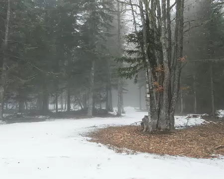 006_P1113128 L’enneigement est faible