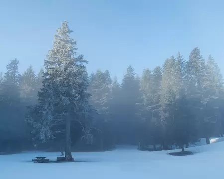 012_P1123159