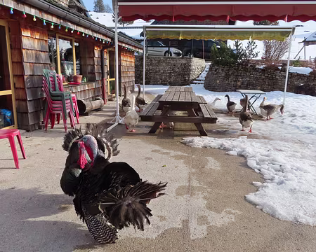 IMG_6971 on a pris le café à la Guienette