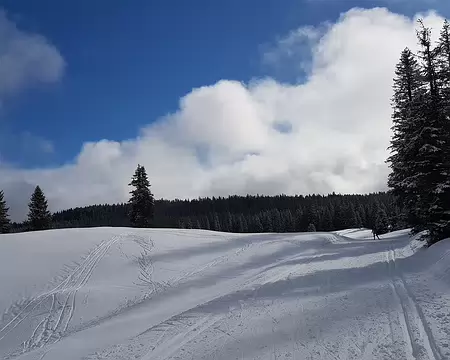 20200218_113201