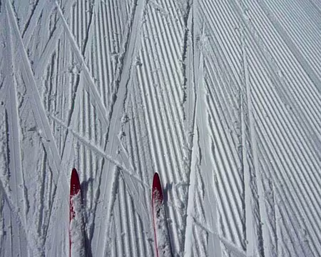 P1210368 Involontaire !