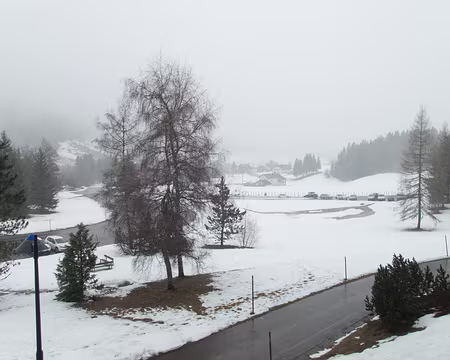 009_P2023455 Dimanche, il pleut et la neige fond