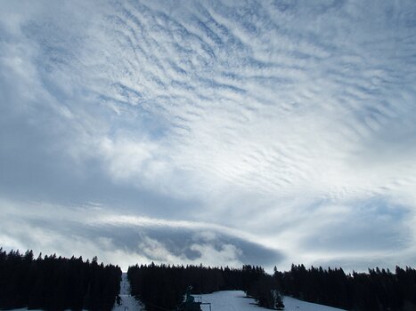 Philippe Philippe C, détail sortie