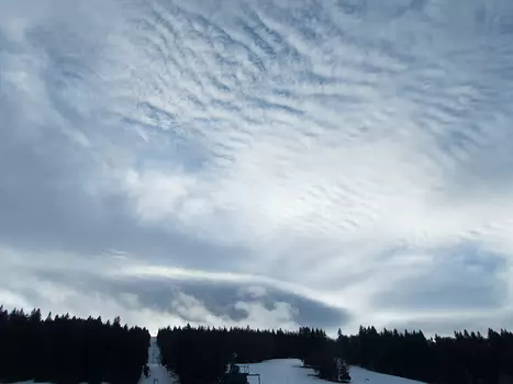 Philippe Philippe C, détail sortie