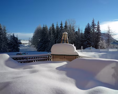 P1230082 Matin très engageant