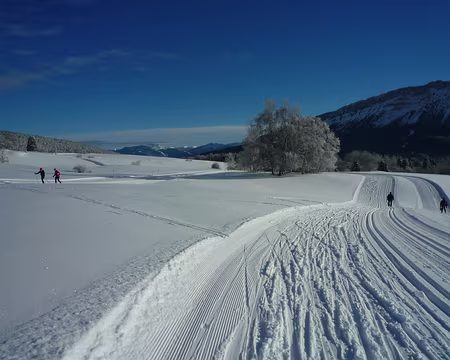 P1230093 Plateau sud