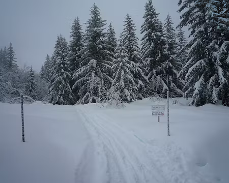 P1230121 Samedi après-midi : ski hors trace damée