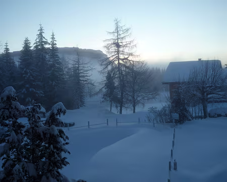 P1230128 Dimanche matin