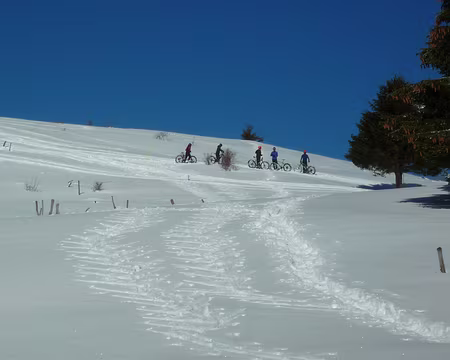 P1230152 Il y a de tout vers la Croix des Bergers !