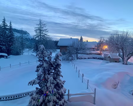 IMG_8859 Samedi 23/01, levée du jour