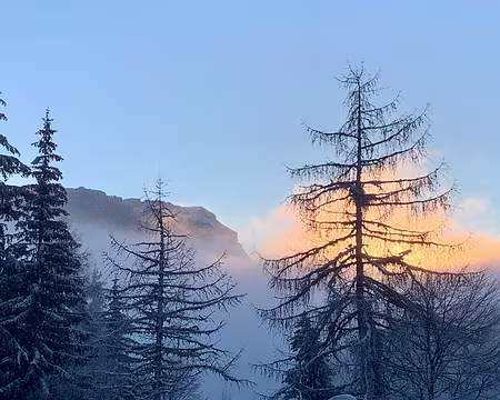 IMG_8883 Dimanche 24/01, levée de soleil derrière la brume