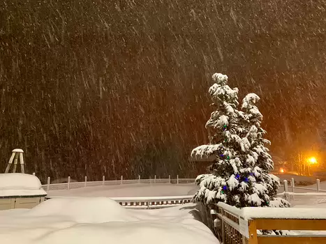 Florence Florence LP, détail sortie