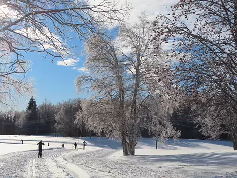 Jean-Louis Jean-Louis M, détail sortie