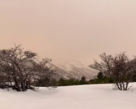 21-IMG_9036 Ambiance sépia... c'est particulier ! La faute aux sables du Sahara