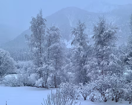 33-IMG_9068 Dimanche 7/02, la neige a recouvert la sable du Sahara