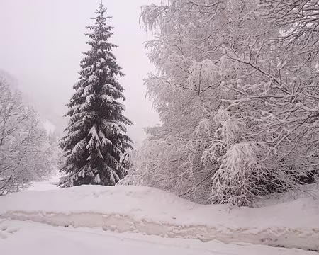 IMG_7961 Dimanche, ski de randonnée nordique.