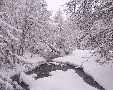 IMG_7962 Dimanche, ski de randonnée nordique. Mais pourquoi mon appareil photo n'a-t-il pas enregistré les autres photos ? Allez voir les photos de Florence...
