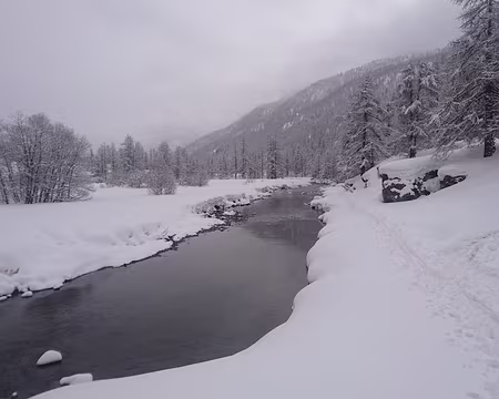 IMG_7963 Ambiance nordique...Mais pourquoi mon appareil photo n'a-t-il pas enregistré les autres photos ? Allez voir les photos de Florence...