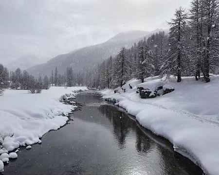 20210207_120956 en route vers le refuge Laval (ski tout terrain)