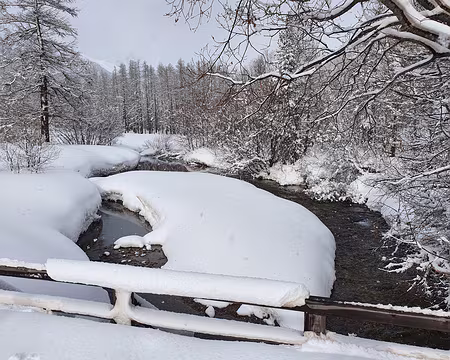 20210207_121011 un cétacé de neige