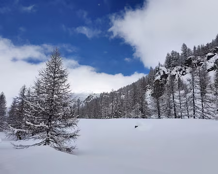 20210207_125106 en route vers le refuge Laval (ski tout terrain)