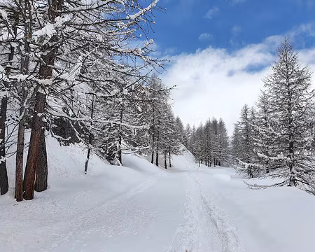 20210207_125115 en route vers le refuge Laval (ski tout terrain)