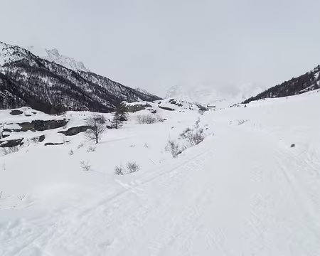 002_P2054350 En route pour la haute vallée