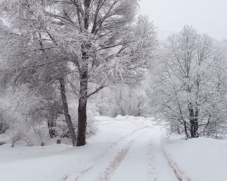 026_P2074430 Dimanche une couche de neige fraiche recouvre le sable déposé la veille