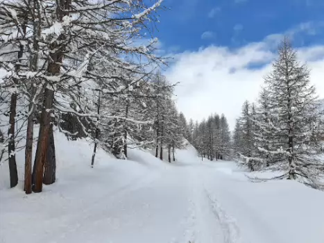 Katarzyna Katarzyna KT, détail sortie