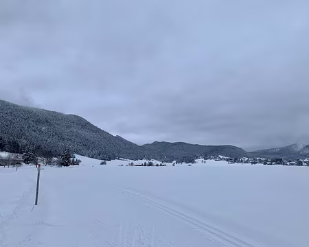 IMG_4241 Samedi 8/01 matin, du coté de Méaudre