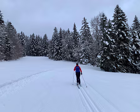 IMG_4264 Dimanche 9/01, De Autrans à Gève, sous la neige.
