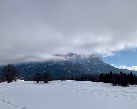 01-IMG_4341 Vendredi 21/01 matin, sur le plateau Sud