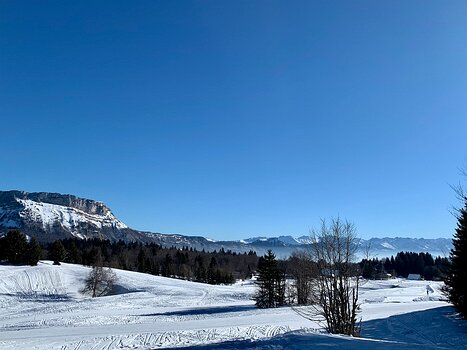 Florence Florence LP, détail sortie
