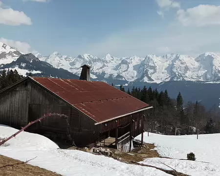 1647851525216