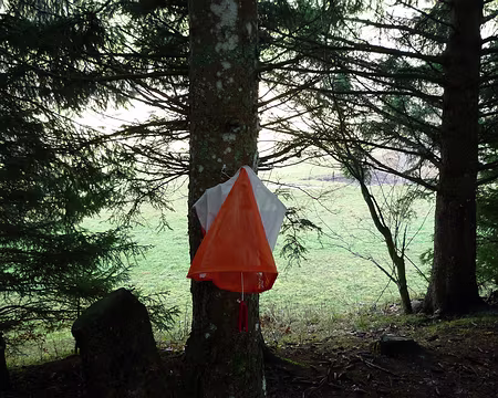 P1320120 balise 1, pointe nord du petit bois