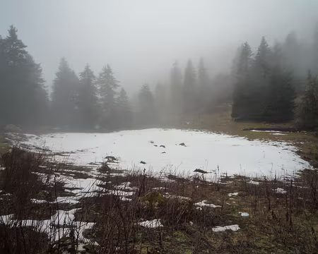 P1320125 La seule plaque de neige du WE !