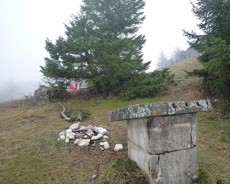 P1320130 la balise de la 