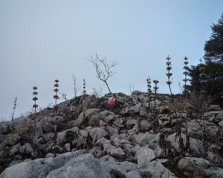 P1320132 Je suis la balise du point 1642.