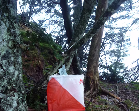 P1320133 Et moi celle de la Grande Brèche !