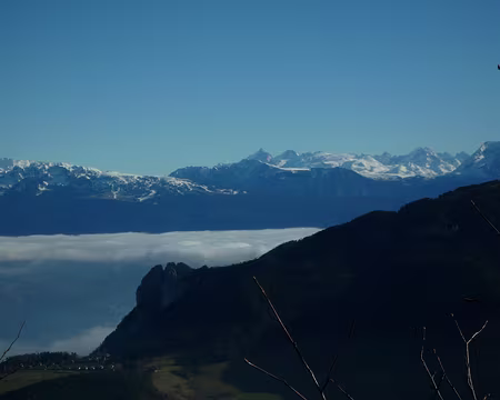 P1320143 Moi, je ne vois que la Meije ! En plein milieu.