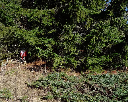 P1320145 De l'antenne, il ne reste que le socle.